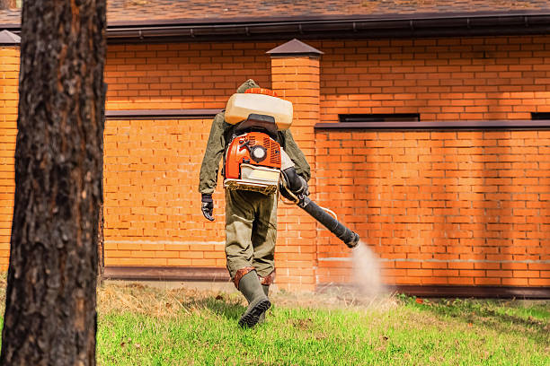 Trusted Mosquito Control service in Winter Garden, FL - Nex Pest Control